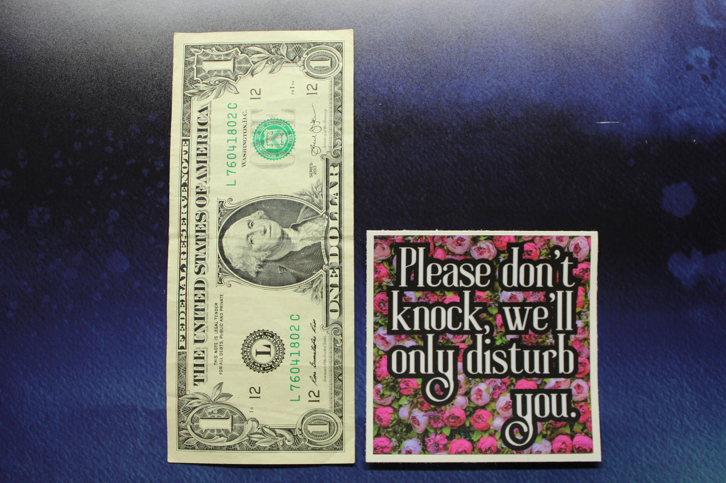 Please Don't Knock We'll Only Disturb You Vinyl Sticker
