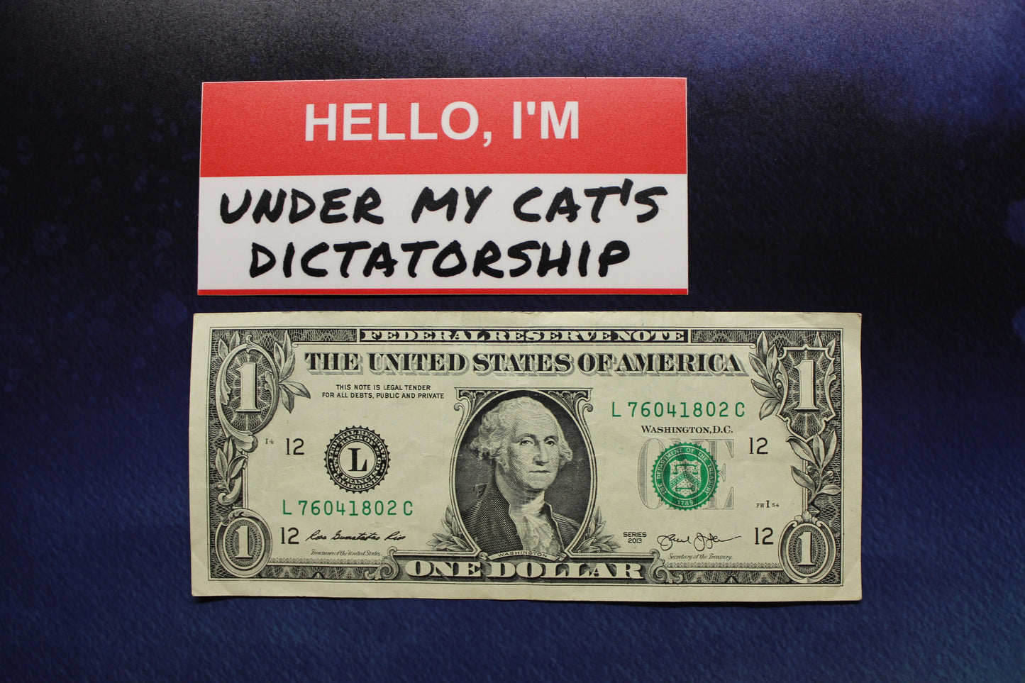 Hello I'm Under My Cat's Dictatorship - Sticker