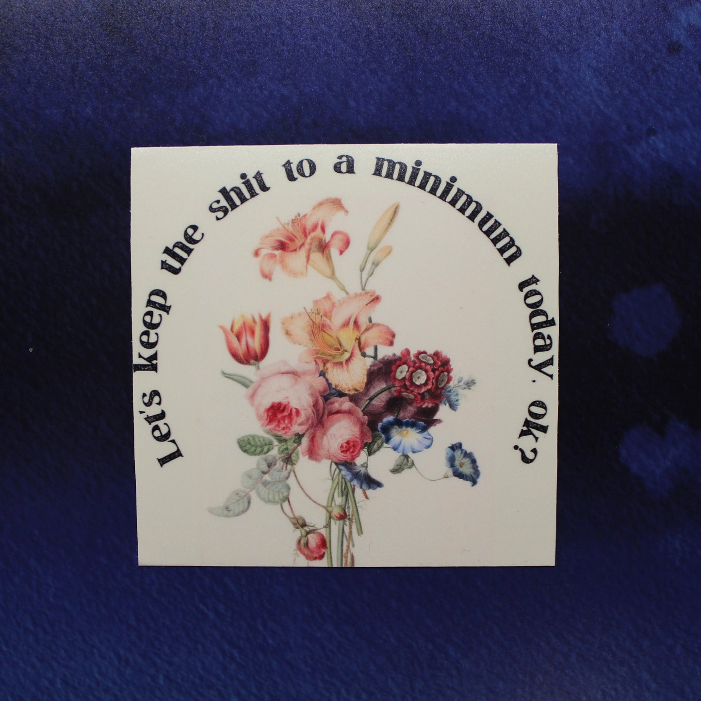 Let's Keep The Shit to a Minimum Today, Ok? Vinyl Sticker