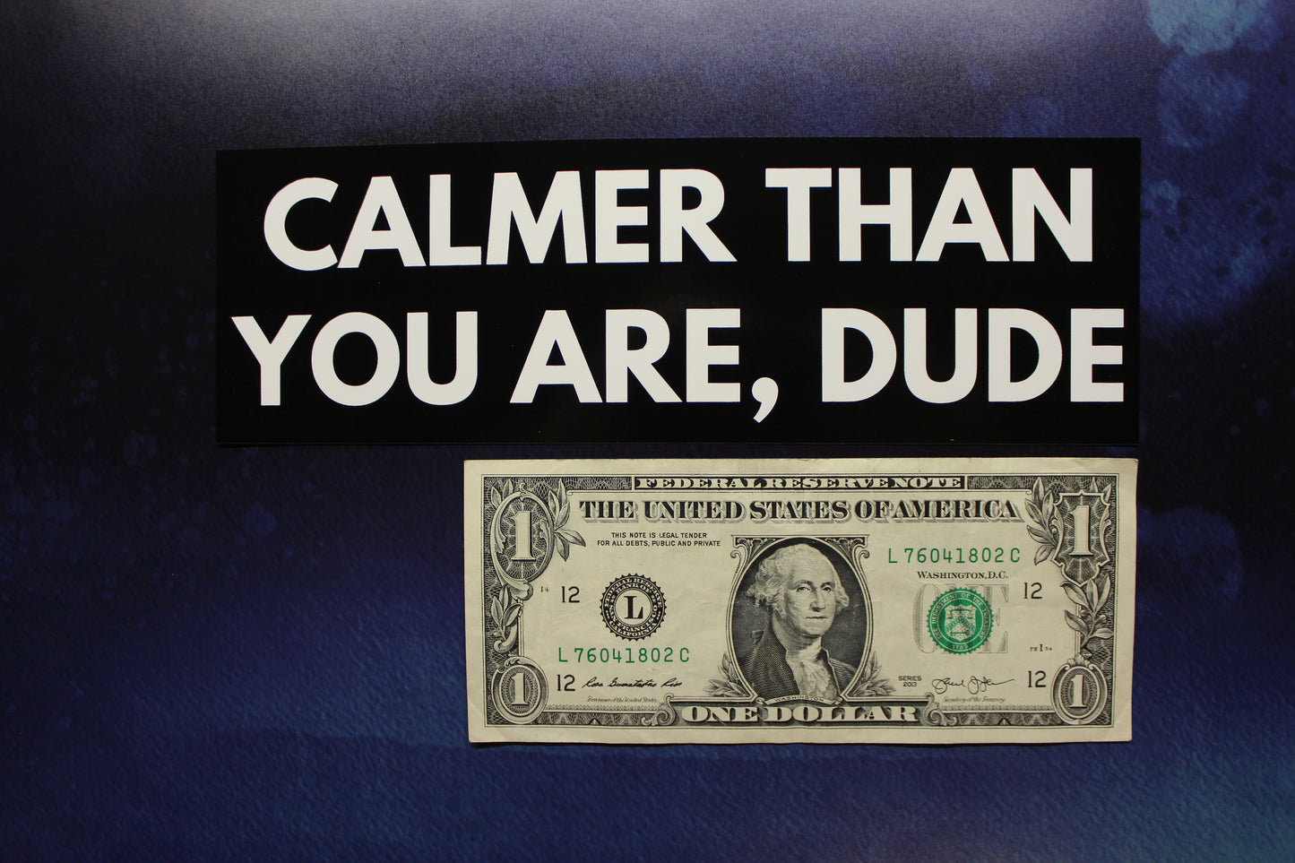 Calmer Than You Are, Dude Vinyl Sticker