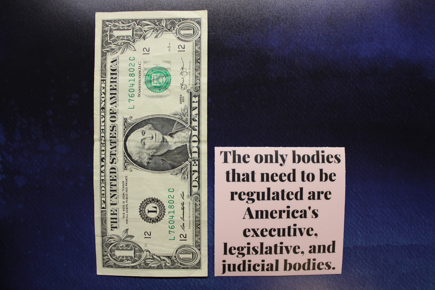 The Only Bodies That Need To Be Regulated Vinyl Bumper Sticker