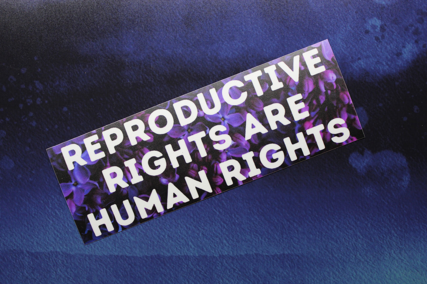Reproductive Rights Are Human Rights Vinyl Bumper Sticker