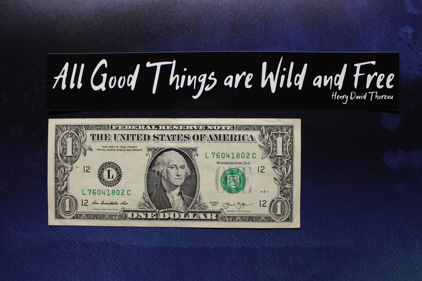 Wild & Free Thoreau Vinyl Sticker