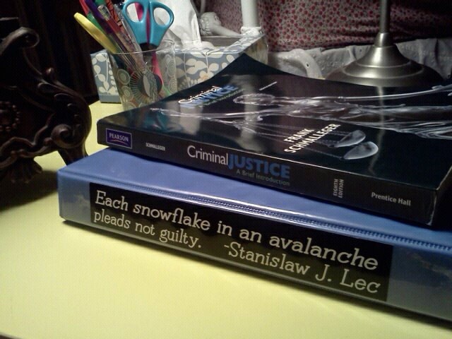 Each snowflake in an avalanche pleads not guilty... Stanislaw J. Lec vinyl bumper sticker bike car laptop guitar