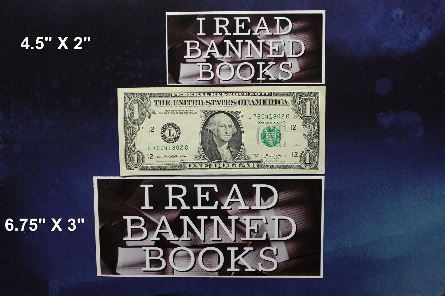 I Read Banned Books Vinyl Sticker