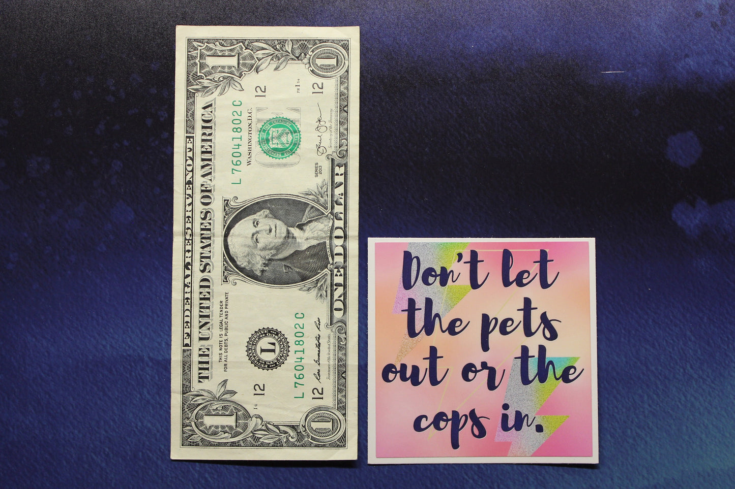 Don't Let The Pets Out or the Cops In Vinyl Sticker for Laptops Water Bottles