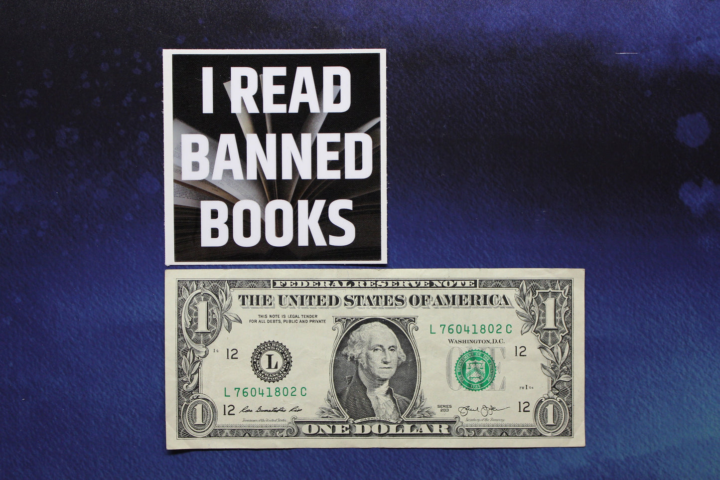 I Read Banned Books Vinyl Sticker