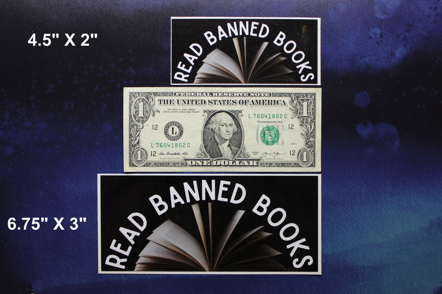 I Read Banned Books Vinyl Sticker