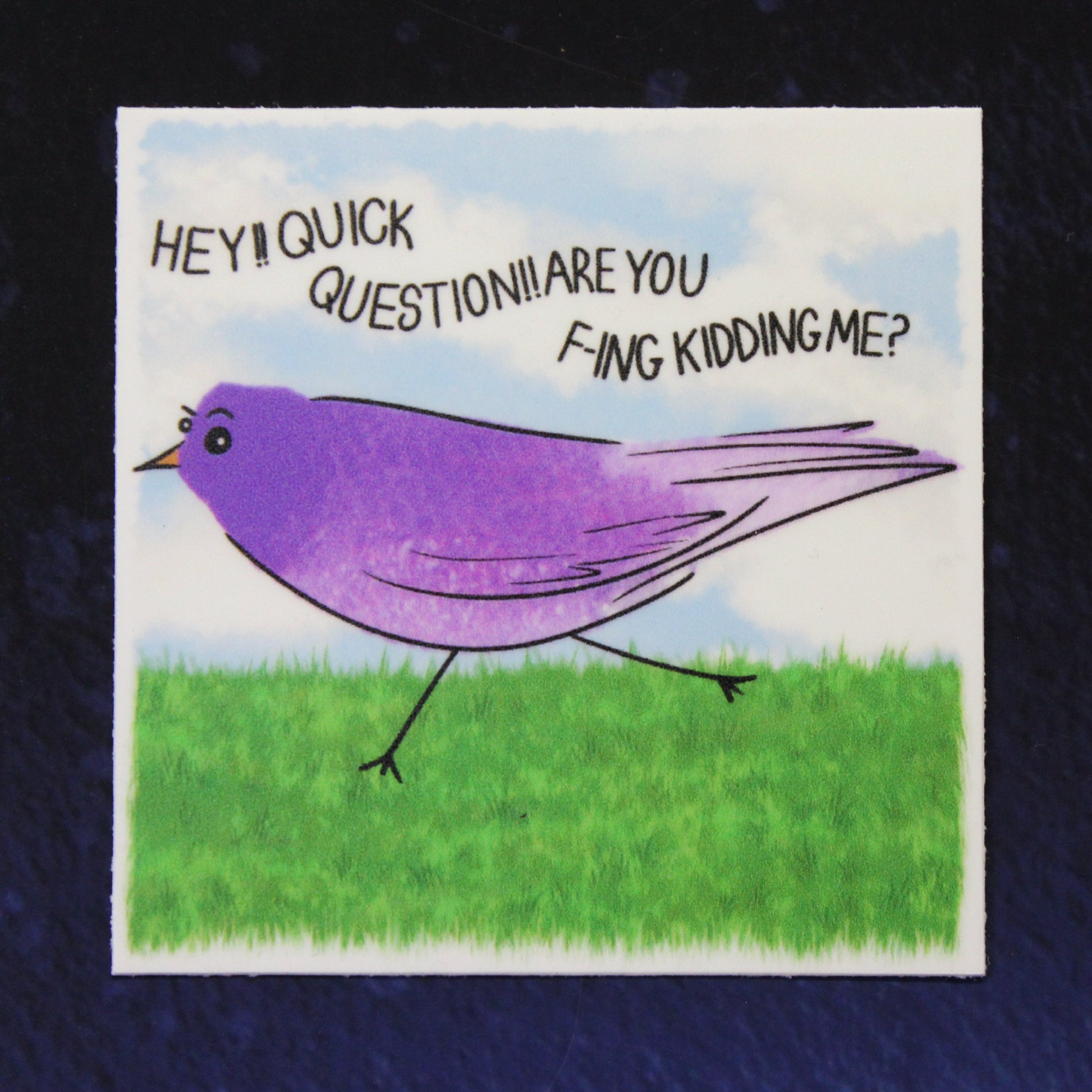 Question Birb Vinyl Sticker