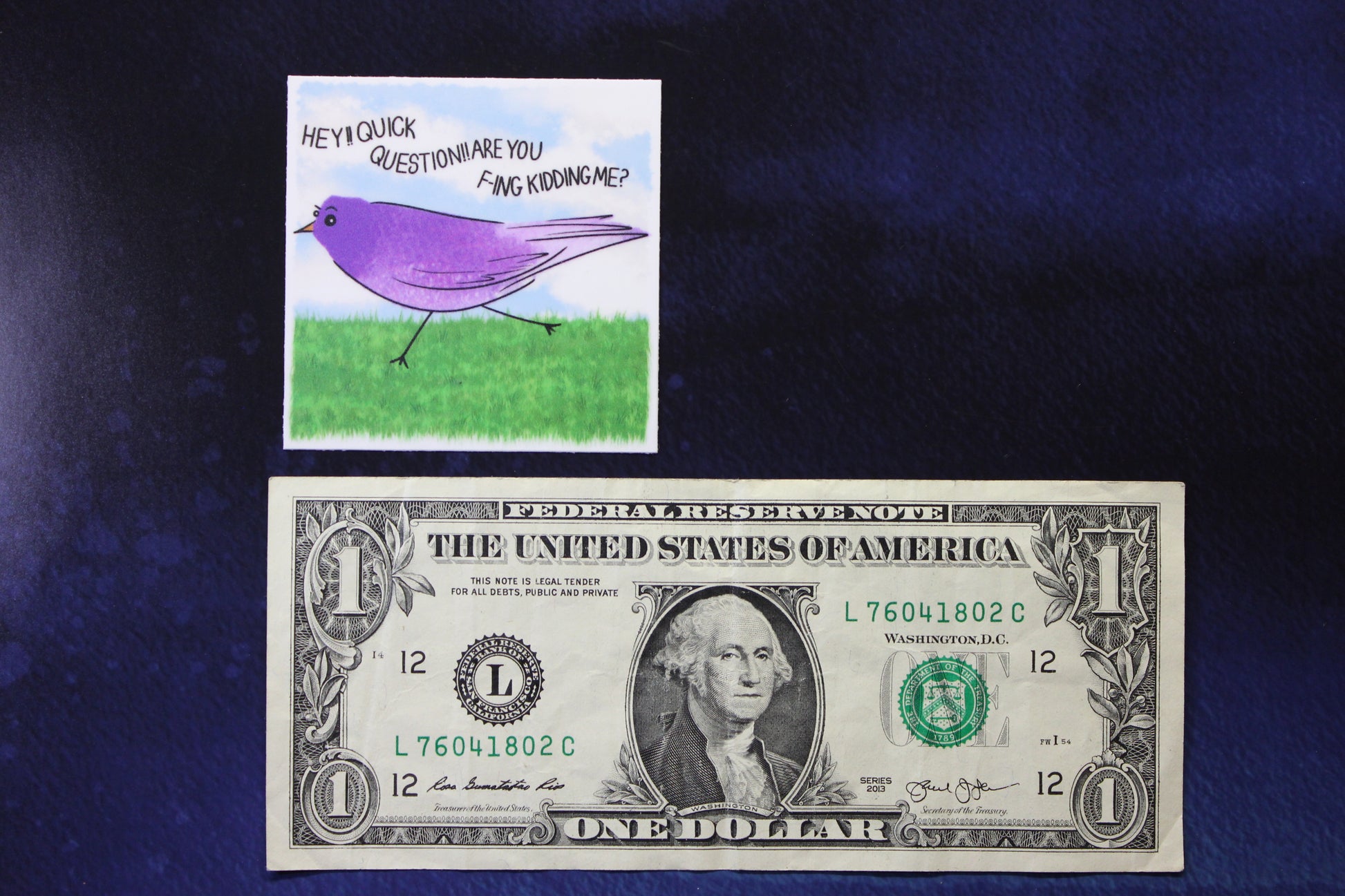 Question Birb Vinyl Sticker