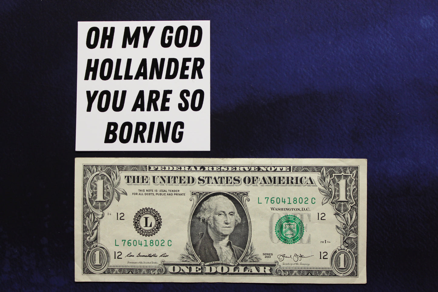 Oh My God Hollander You Are So Boring Vinyl Sticker
