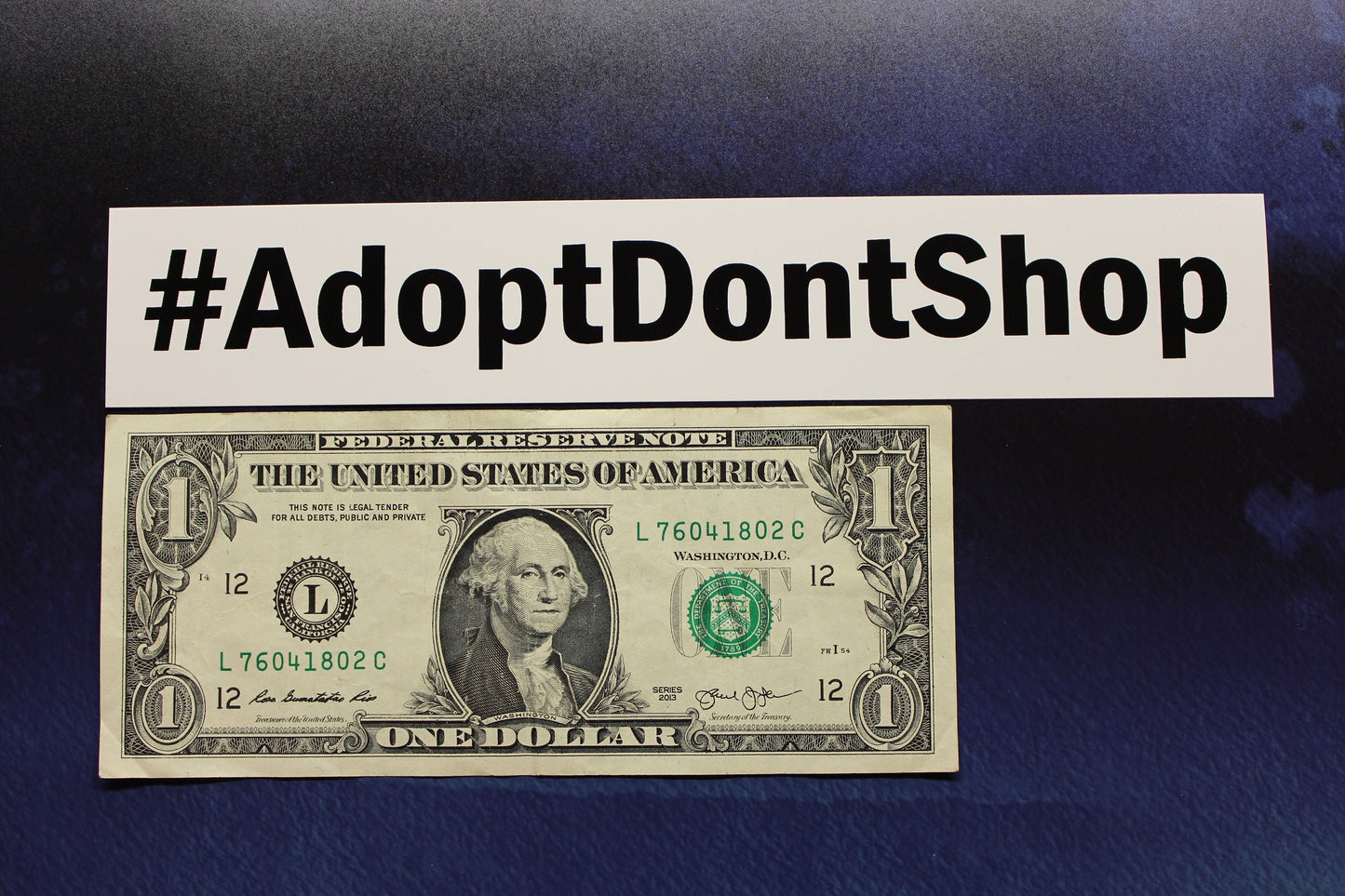 Adopt Don't Shop vinyl sticker car bike laptop bumper pet dog cat adoption hashtag instagram