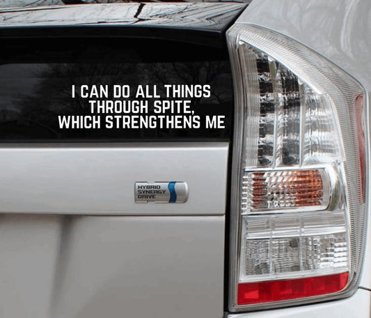 I Can Do All Things Through Spite Which Strengthens Me Vinyl Decal
