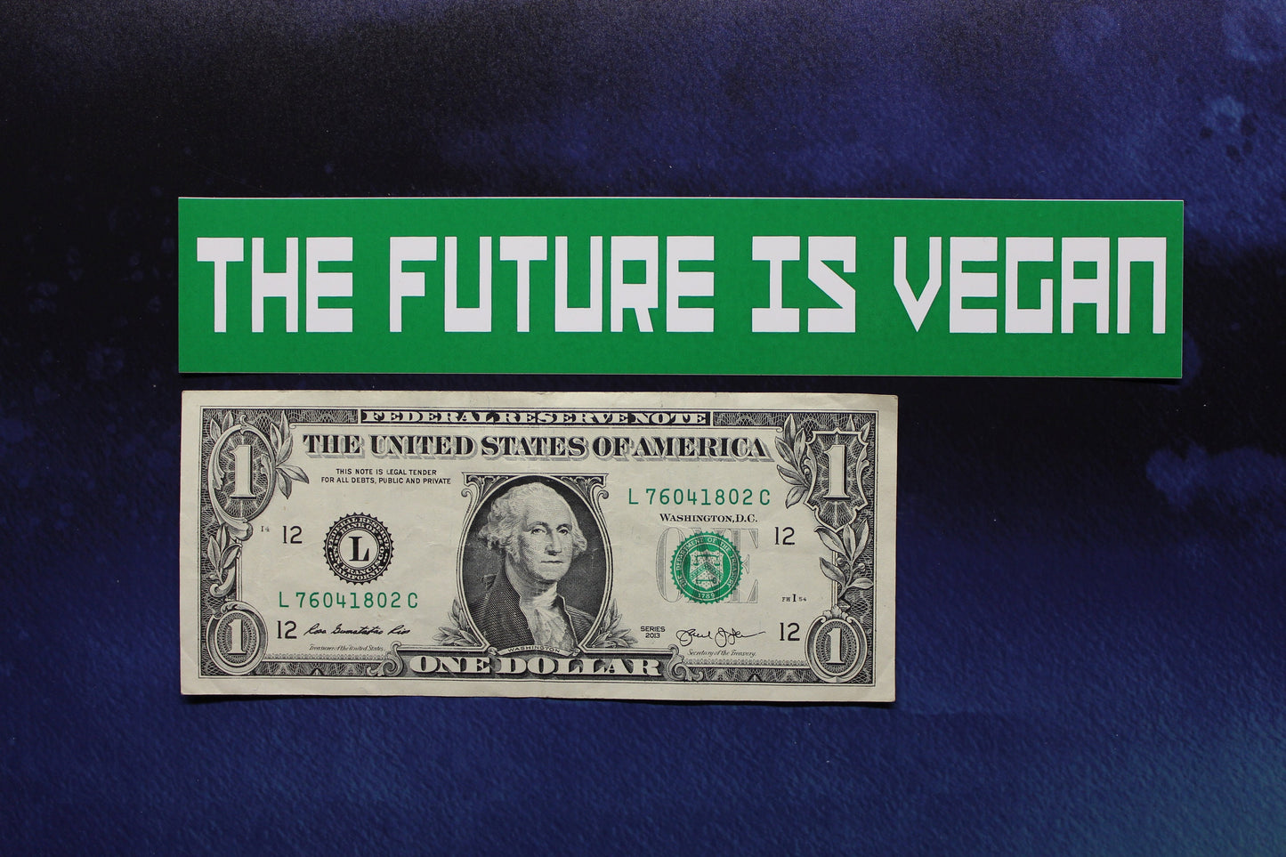 The Future Is Vegan Vinyl Slim Bumper Sticker Car Laptop Bike Green