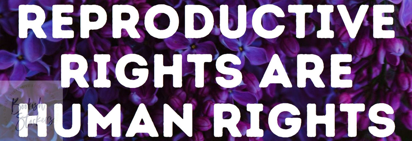Reproductive Rights Are Human Rights Vinyl Bumper Sticker