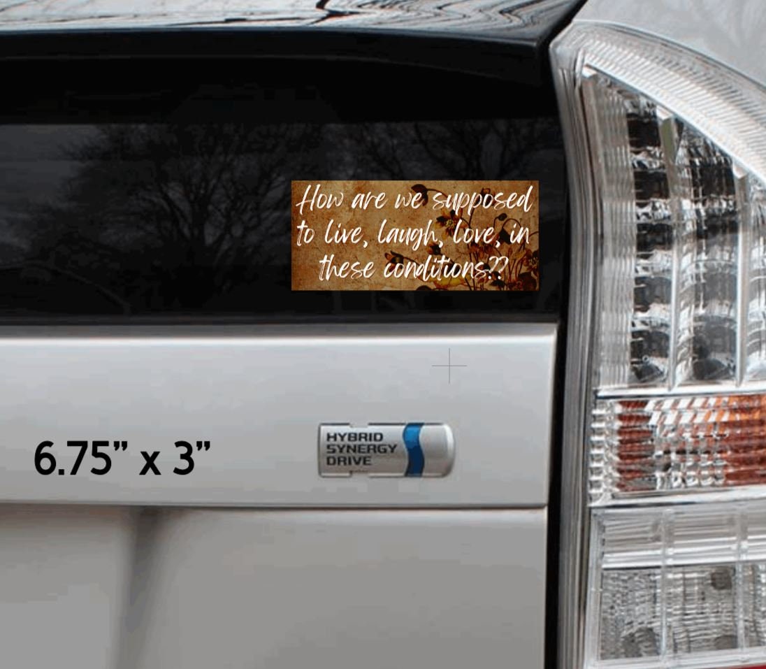 How Are We Supposed to Live, Laugh, Love in these conditions? Vinyl Sticker