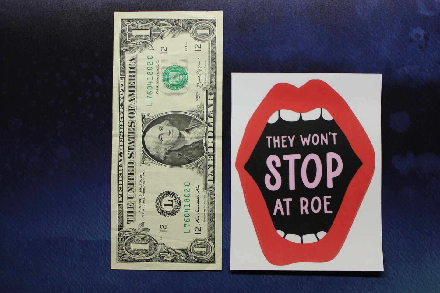 They Won't Stop At Roe Vinyl Bumper Sticker Reproductive Rights