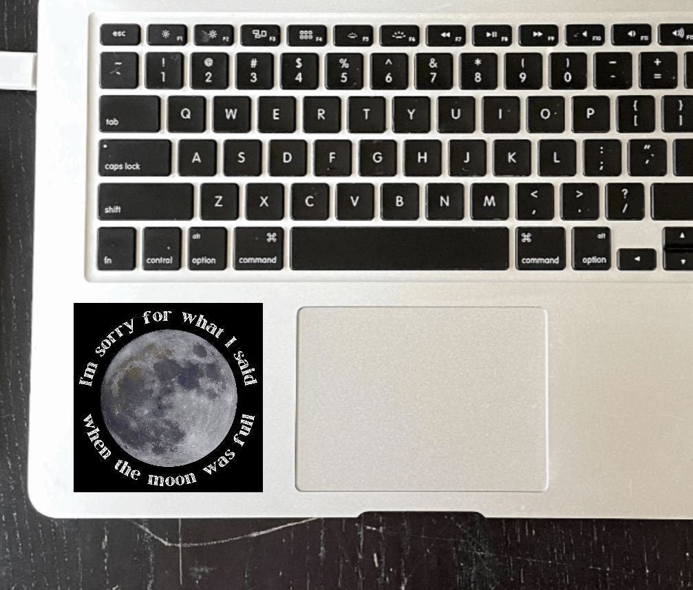 I'm Sorry For What I Said When The Moon Was Full Vinyl Sticker