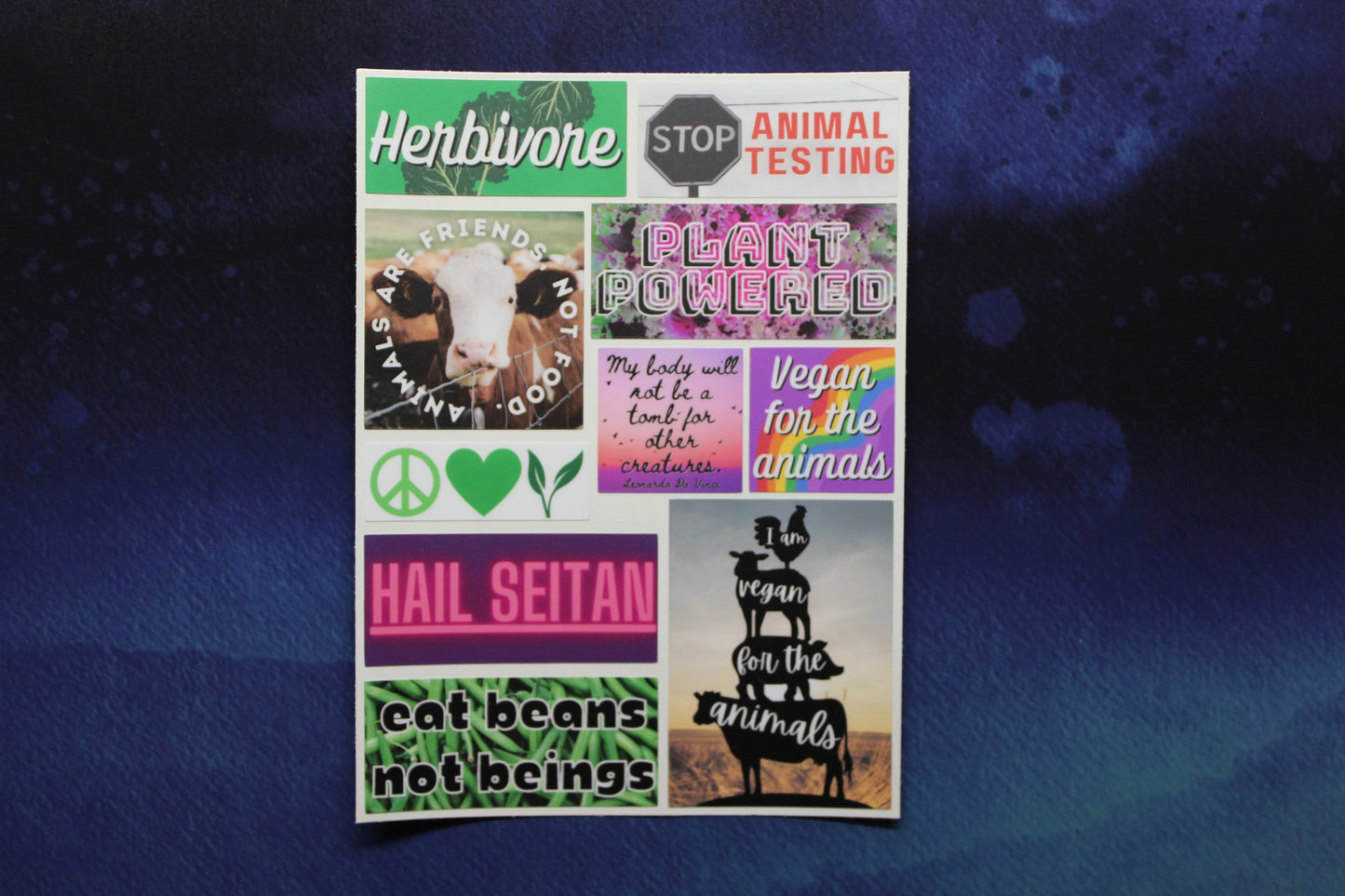Vegan Issues Small Sheet of Stickers