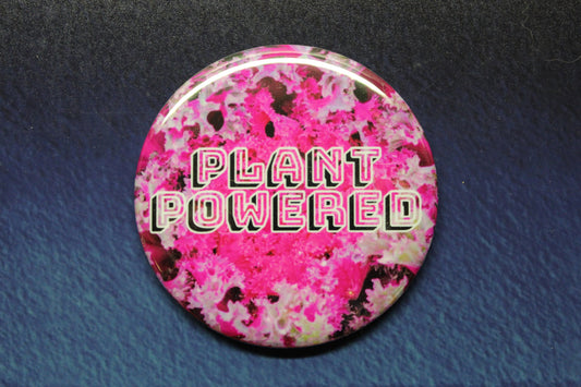 Plant Powered Vegan Button Magnet or Bottle Opener Red Cabbage Kale